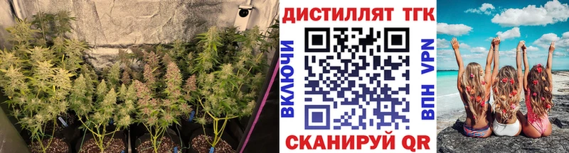 Дистиллят ТГК THC oil  Пласт 