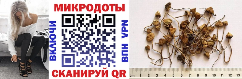 Галлюциногенные грибы GOLDEN TEACHER Пласт